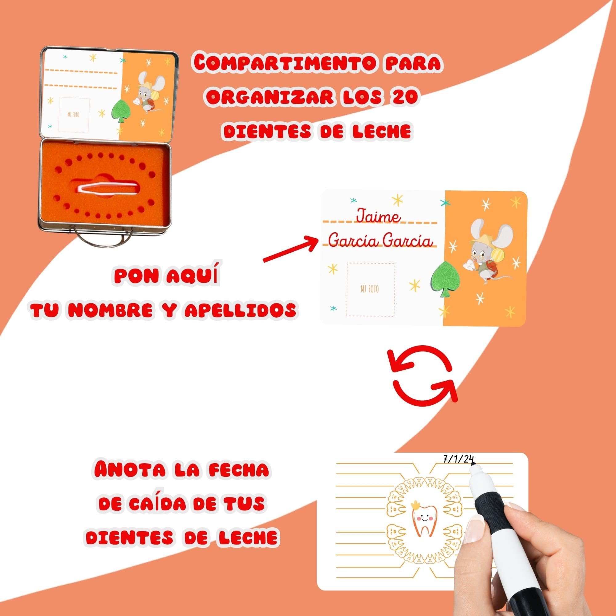 Caja dientes de leche niño - Regalo ratoncito Pérez niño y niña - Pegatinas ratón Pérez y hada de los dientes - Regalos ratón Pérez