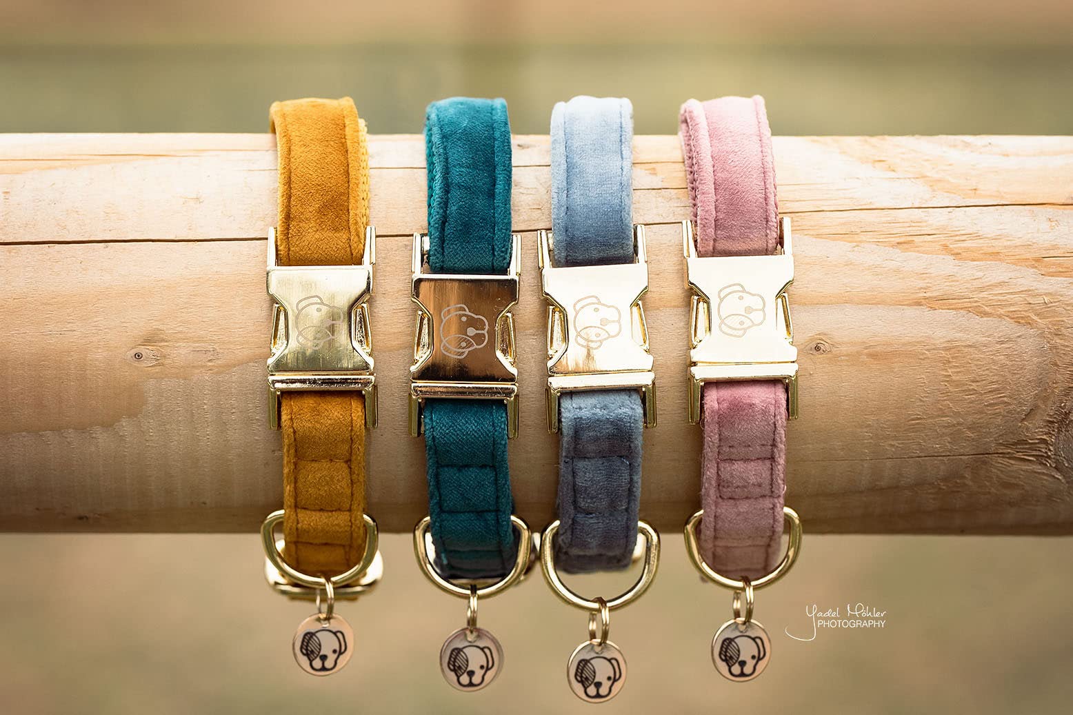 Kentucky Dogwear - Samt Hundehalsband - Orange S - 28-40cm