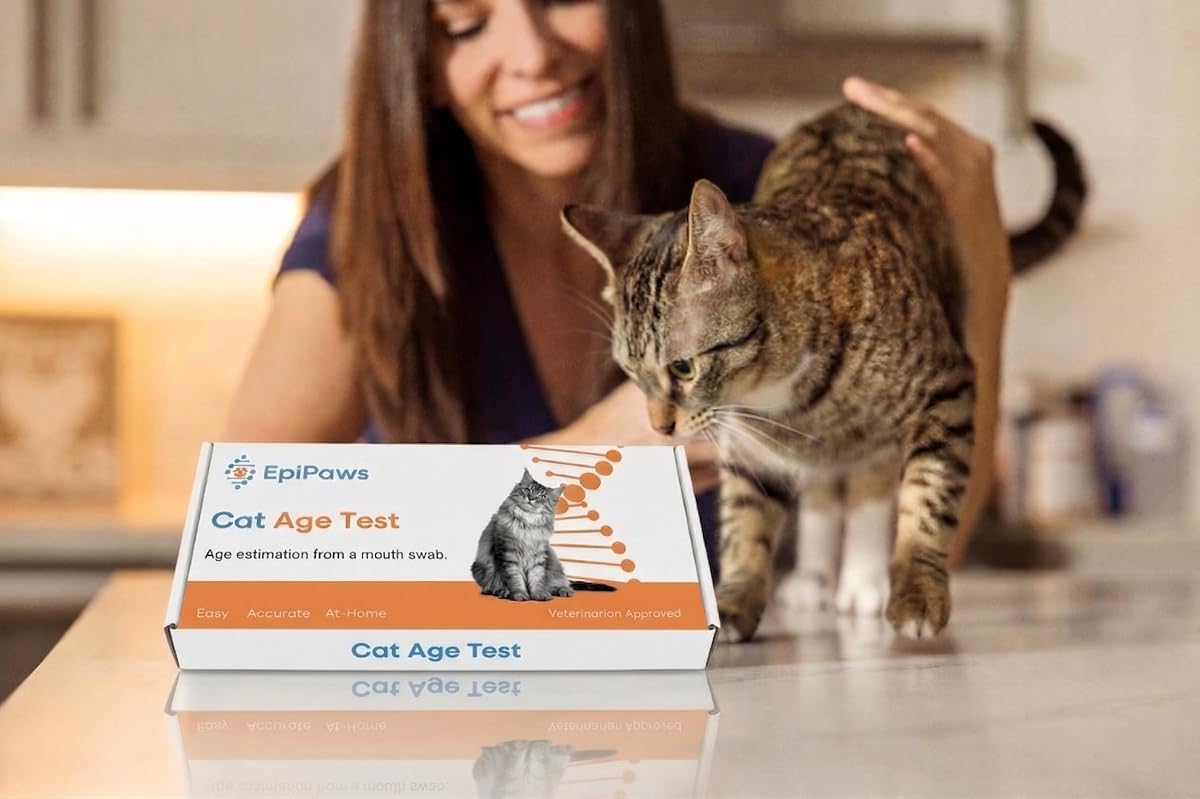 Basepaws Breed + Health Cat DNA Test view 2