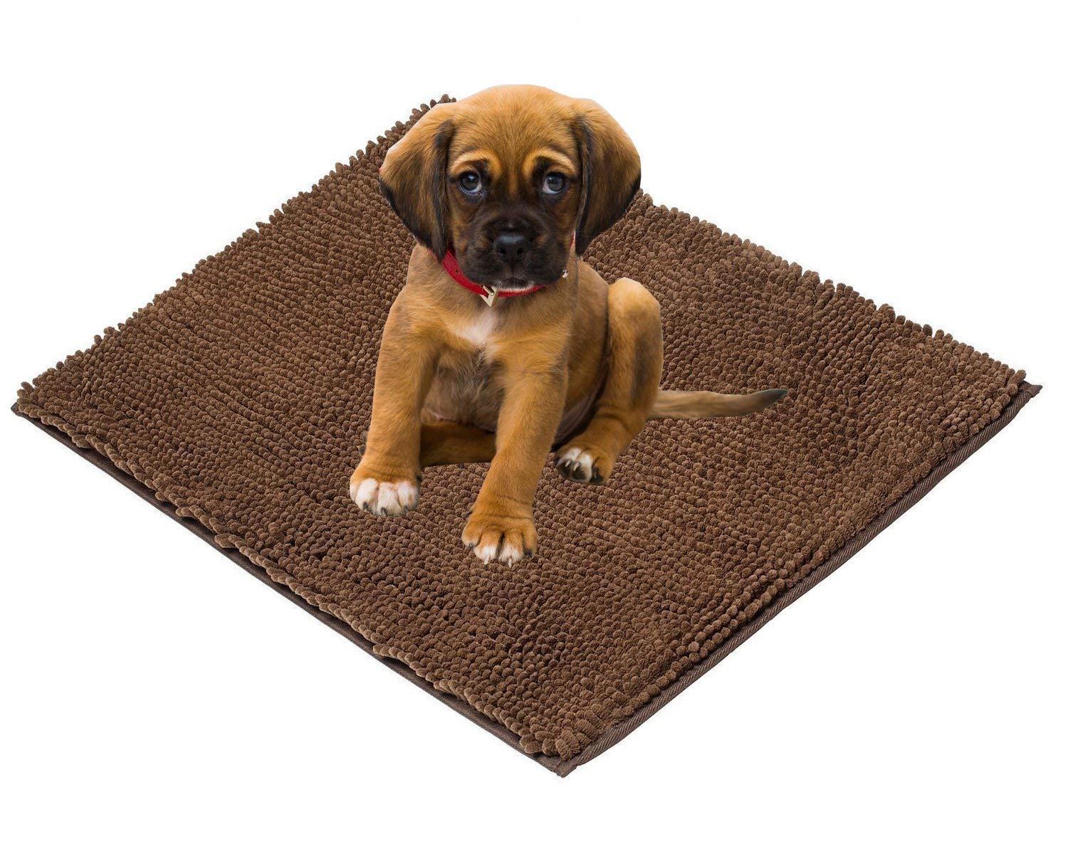 pooch mat