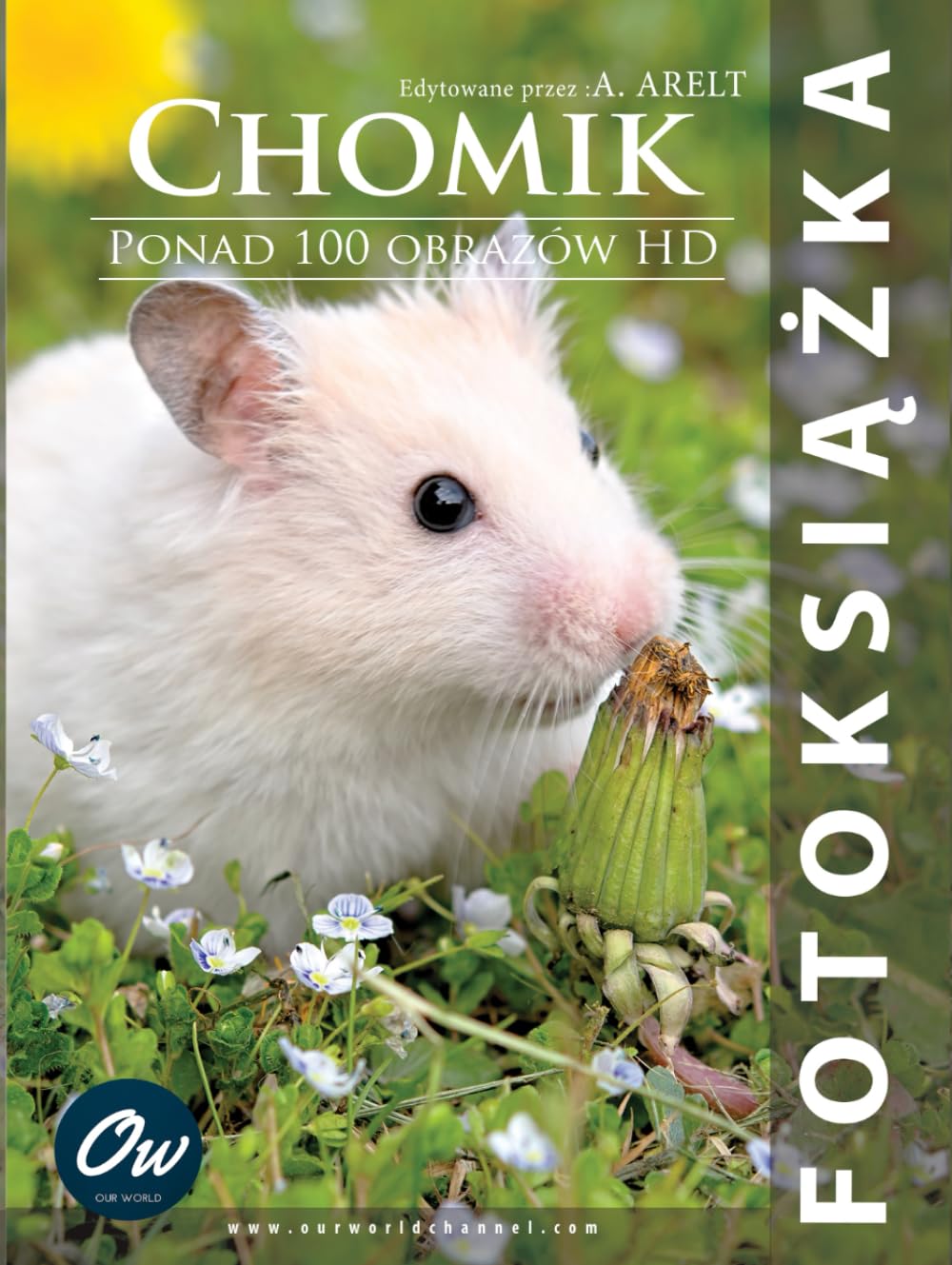 Fotoksiążka Chomik album idéal pour ranger vos photos de vacances en famille
