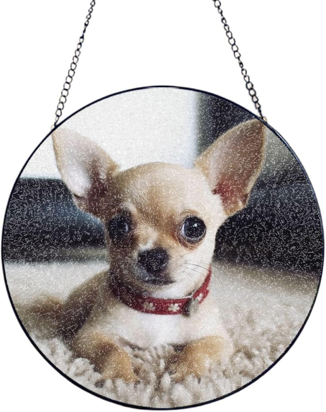 Stained Glass Window Hanging 6in（15cm）, Cute Chihuahua Glass Suncatcher for Home Decor, Indoor Wall Art Glass Panel with Metal Chain and Hooks, Sun Catcher Ornament Birthday Gifts