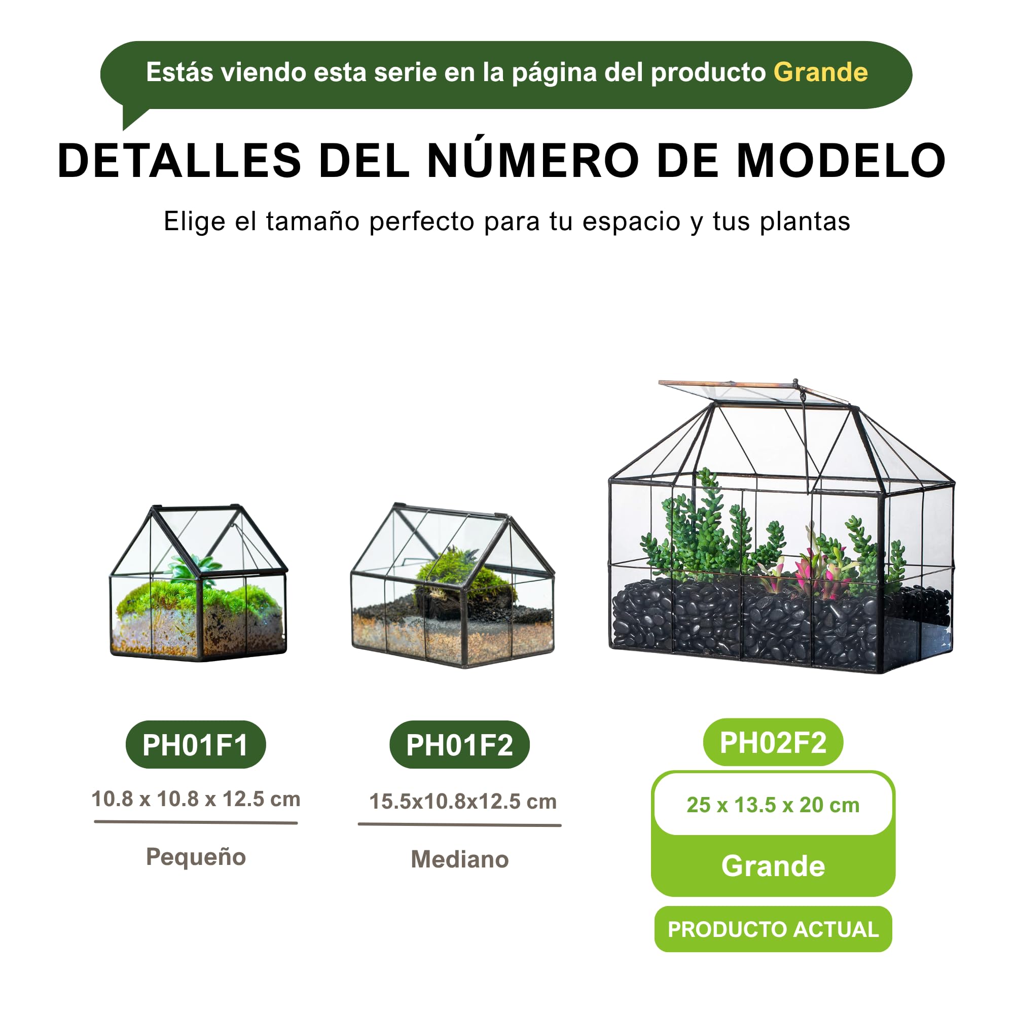 NCYP Maceta de terrario de Vidrio geométrico Negro con Tapa, Caja de Maceta con Forma de casa de Rejilla para suculentas Plantas de Cactus, decoración Moderna de Mesa (sin Plantas ni Accesorios)