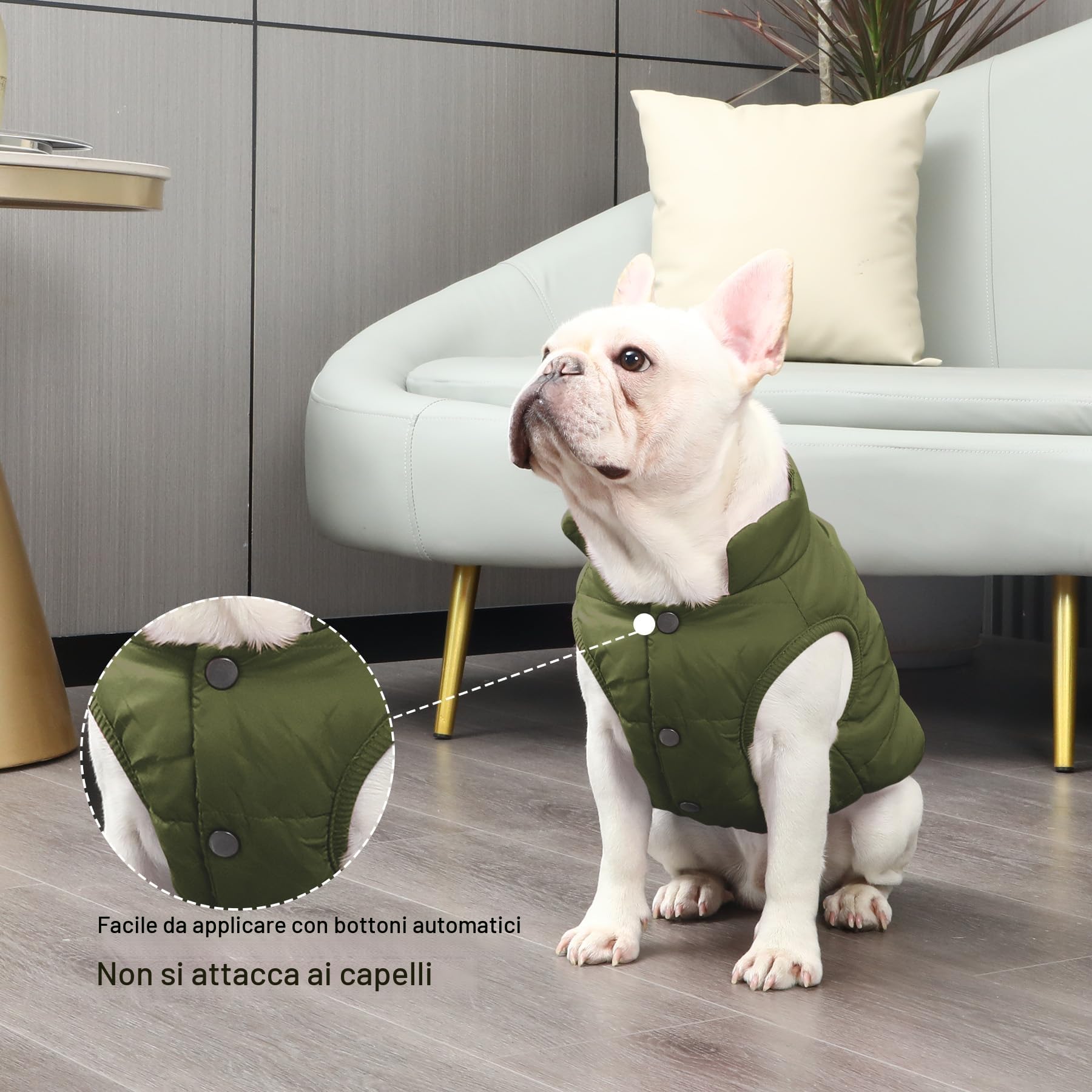JoyDaog, Cappottino per cani foderato con 2 strati di pile, antivento, molto caldo e morbido, perfetto per il freddo invernale, ideale per cuccioli, verde, M