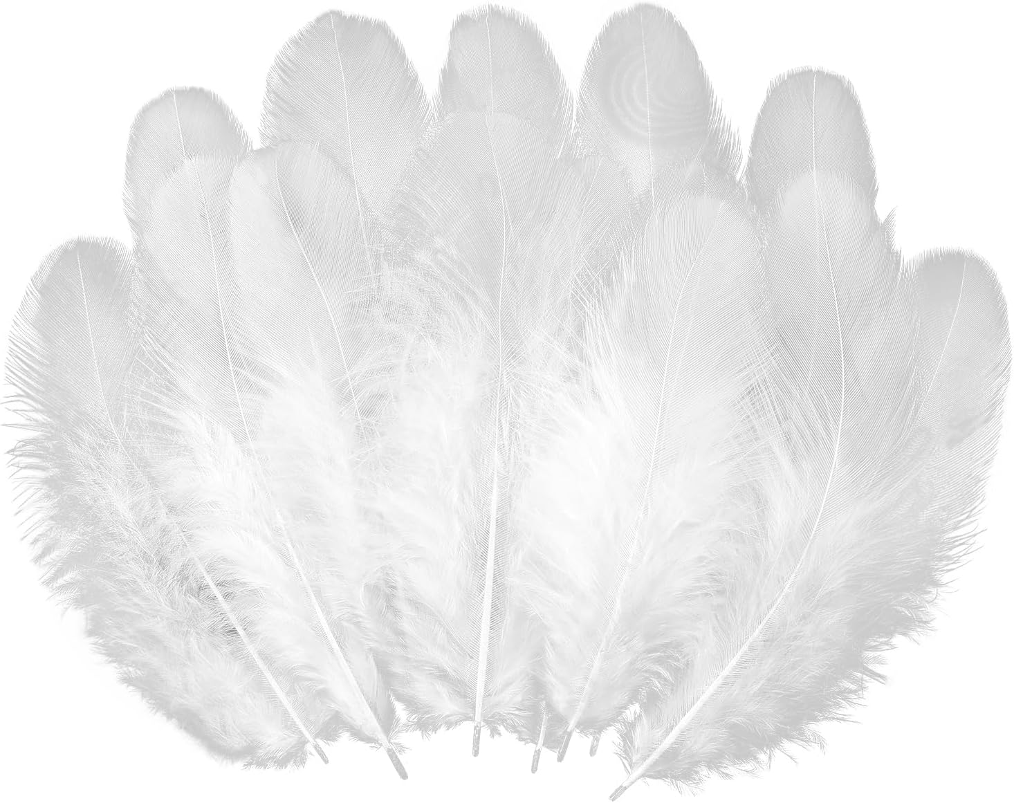 900pcs White Feathers Bulk for Crafts - 3-5 Inch Natural Rooster Feathers for Dream Catchers, DIY, Teens Crafts, Party & Jewelry Decoration (26 Colors, Soft & Fade-Resistant)