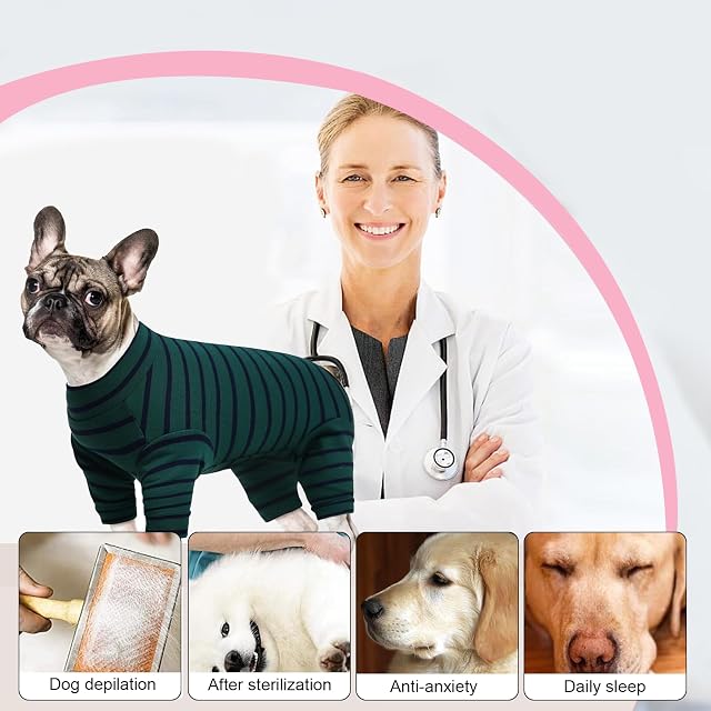 Foto 7 de 7 de Traje de Recuperación de Cirugía para Perros