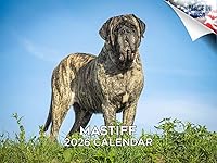 Vista 212 de Razas de Perros 2017