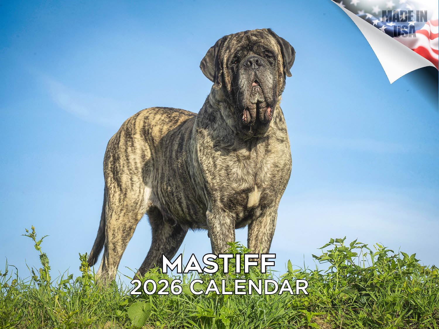 Calendario mensual de pared 2024 2025 de raza de perro, abierto de 12 x 18 pulgadas, papel grueso que no se corre, regalo, planificador académico para profesores, organizador y planificación,