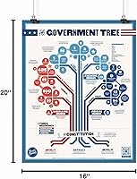 Vista 6 de El árbol del gobierno Póster de aula de 16 x 20 pulgadas Estudios sociales Historia de los Estados Unidos Ciudad Gobierno