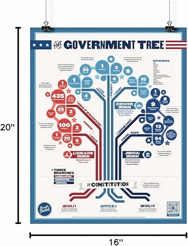 Miniatura 6 de El árbol del gobierno  Póster de aula de 16 x 20 pulgadas  Estudios sociales  Historia de los Estados Unidos  Ciudad  Gobierno