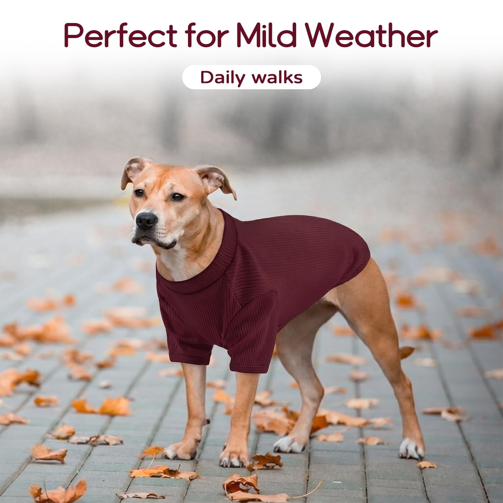 Pull en tricot pour chien L - T-shirt léger pour animal de compagnie pour Beagle - Schnauzer miniature Border Terrier - Confortable et décontracté - Pour promenades, voyage et confort à la maison