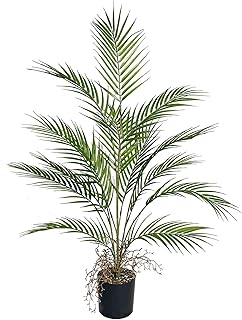 Grande Plantas Artificiales Decorativas, Tropic Árbol Areca Palmera Artificial con Maceta, Realista Planta Falsa para Interior Exterior Hogar Baño Oficina Jardín Boda Decoración 95 cm Verde