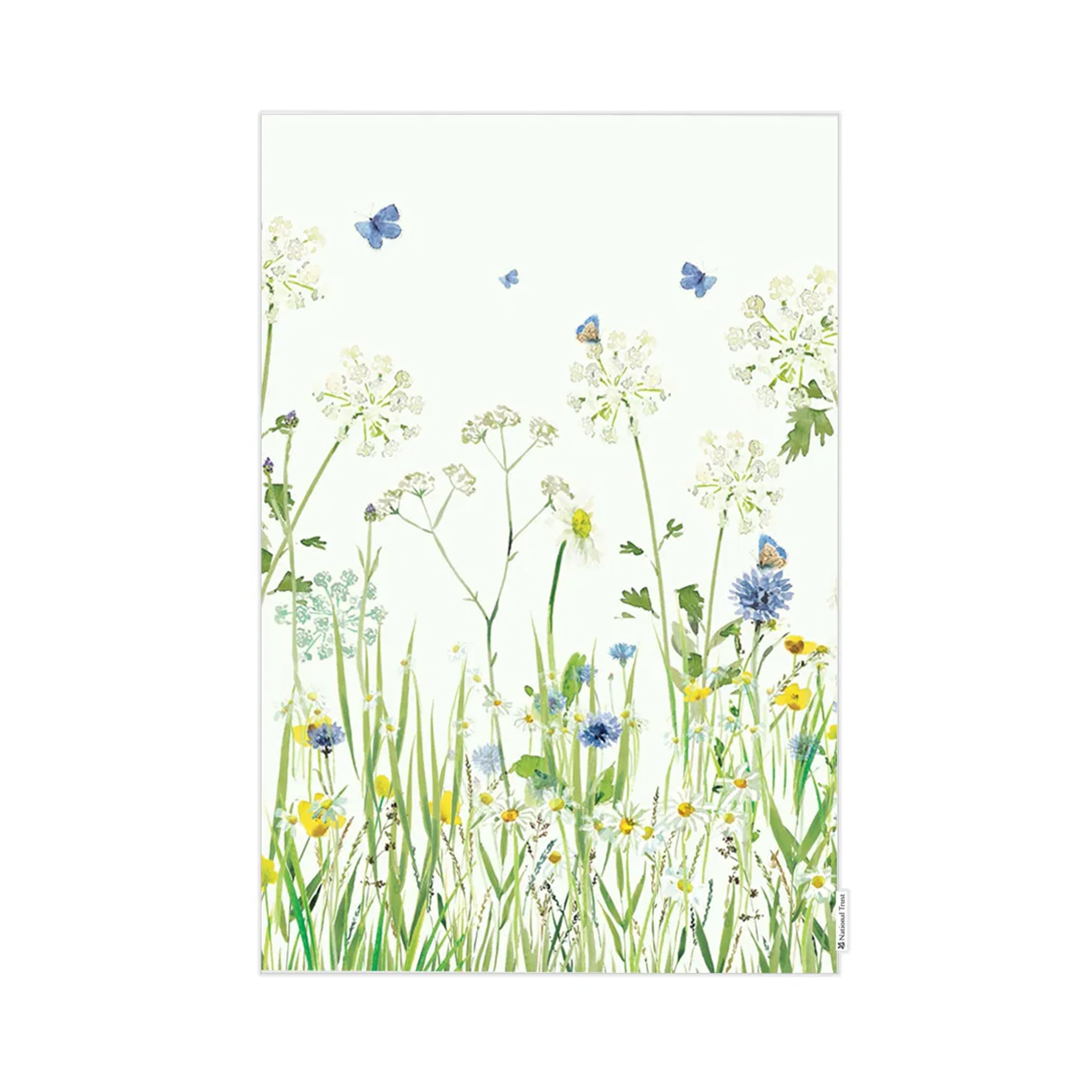 Eddingtons Multicoloured Butterfly Patterned Organic Cotton Tea Towel/Dish Cloth - Eco-Friendly National Trust Nature Collection Kitchen Linens