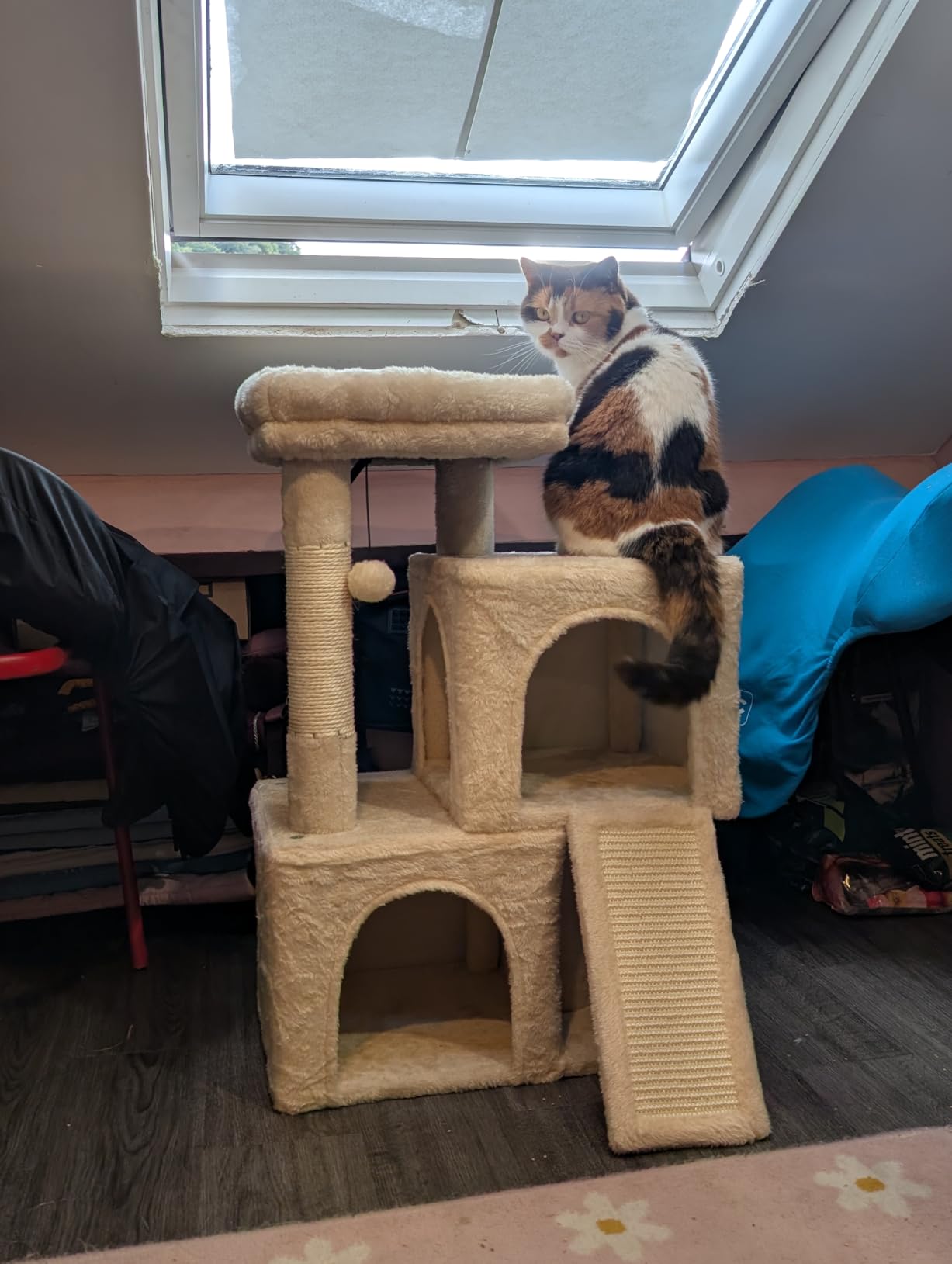 Customer photo