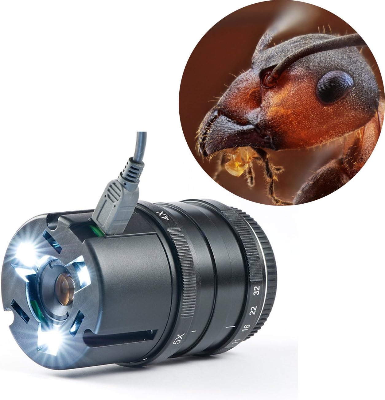 Yasuhara Nanoha x5 Super Macro Lens for Micro Four Thirds System, Suit for Panasonic M 4/3 Olympus 4/3 Mirrorless Digital Camera Serials