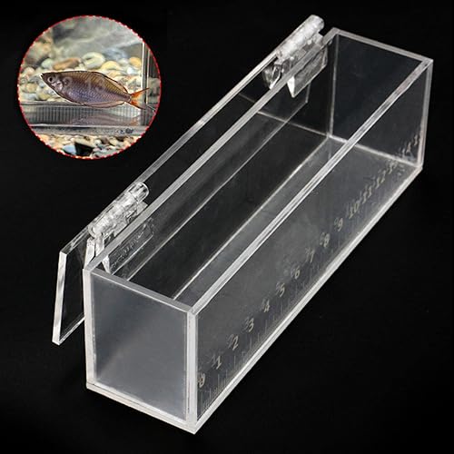 Miniatura 5 de Caja de visualización de peces de pesca de acrílico con tapa, mini acuario al aire libre e interior, pequeña, portátil, caja segura para criadores