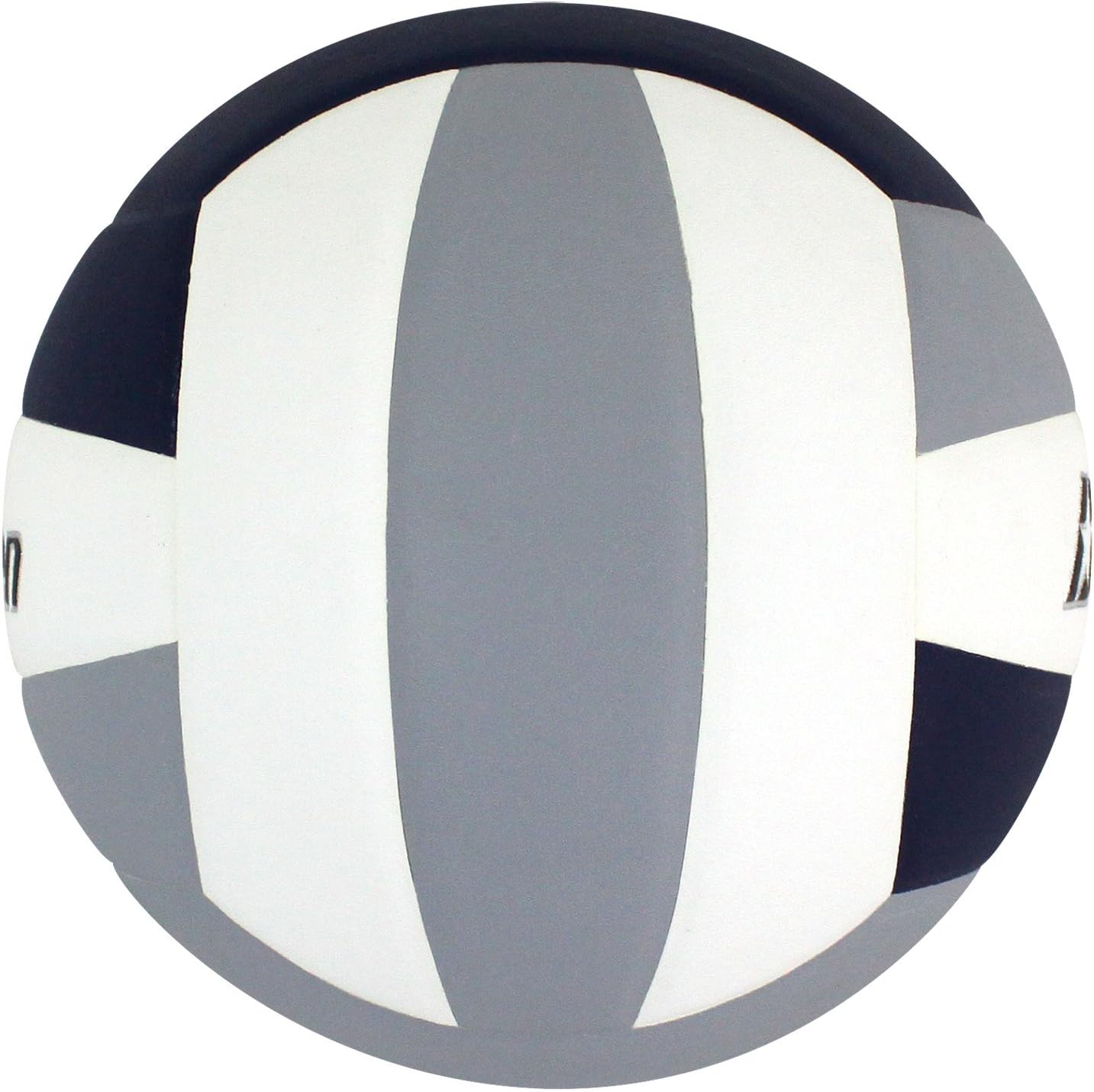 Baden | Lexum | Premium Composite Microfiber | Indoor Official High School Game Volleyball | 13U to 18U | Official Size + Weight