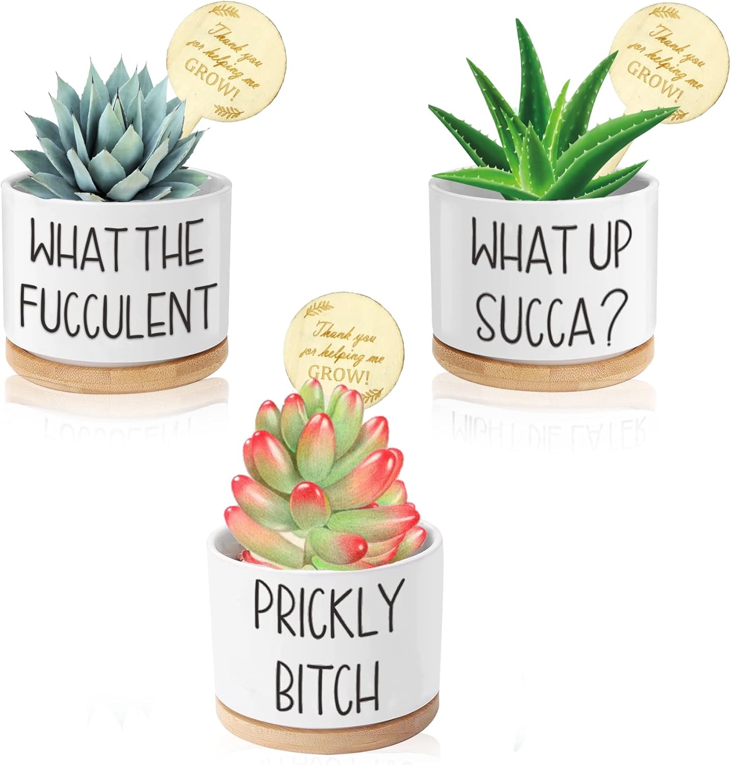 Tsyulog Funny Succulent Pots with Plant Labels - 3.15" Ceramic Planters, Drainage Holes & Bamboo Saucers, Pack of 3 Unique Gardening Gifts