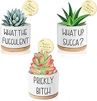 Tsyulog Funny Succulent Pots with Plant Labels - 3.15" Ceramic Planters, Drainage Holes & Bamboo Saucers, Pack of 3 Unique Gardening Gifts