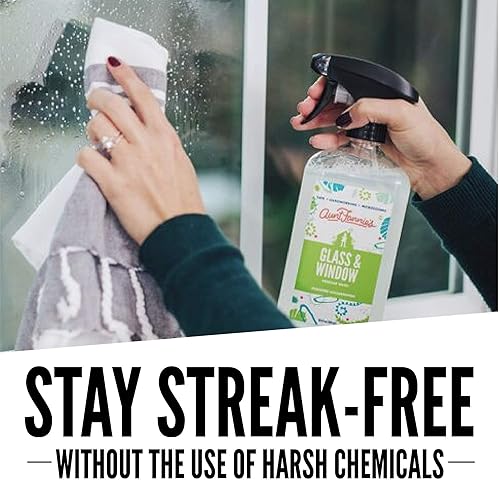 Miniatura 2 de Aunt Fannie's Paquete Lavado de vinagre de limpieza de vidrio y ventanas + trampa para moscas de fruta FlyPunch