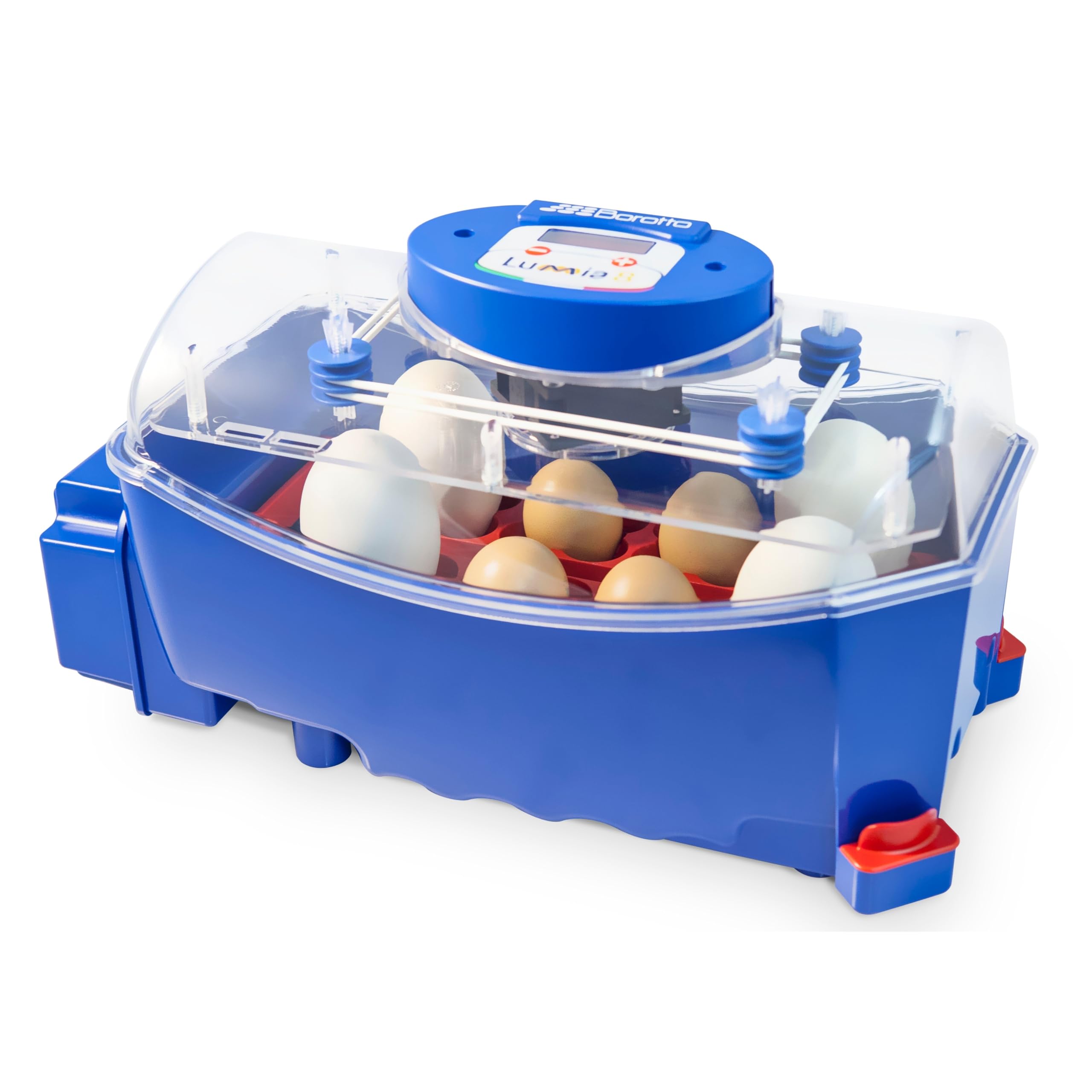 Borotto Lumia 8 | Incubadora de Huevos Automática Profesional Patentada para 8 Huevos o 32 Pequeños con Volteador de Huevos Automático y Control de Temperatura | Made in Italy