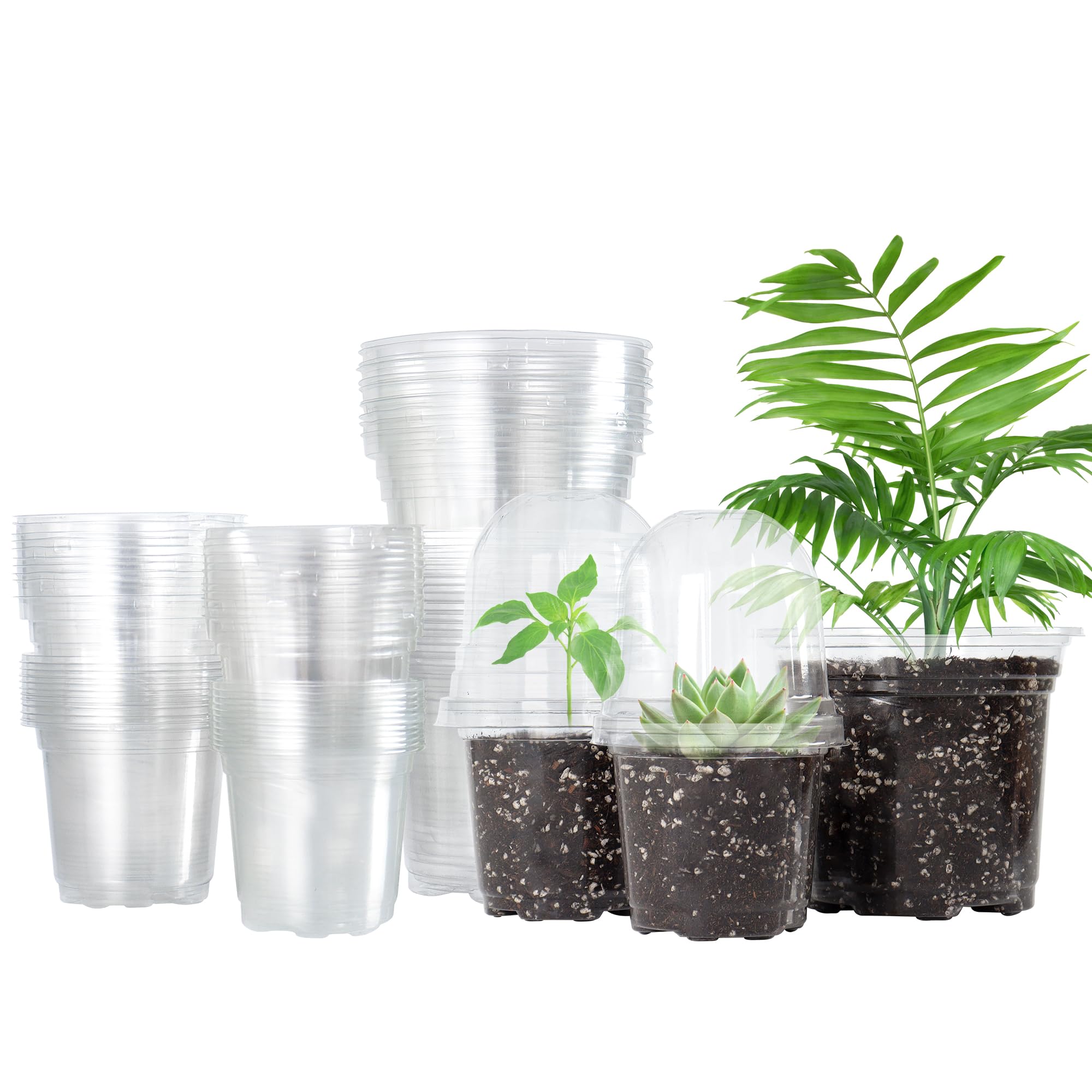Bonviee Transparent 36 Packs 3.5/4/5 Inch Clear Nursery Pots With Humidity Domes, Variety Sizes Seed Starting Pots With Drainage Holes, Garden Containers For Succulents, Flowers And Cactus-Clear
