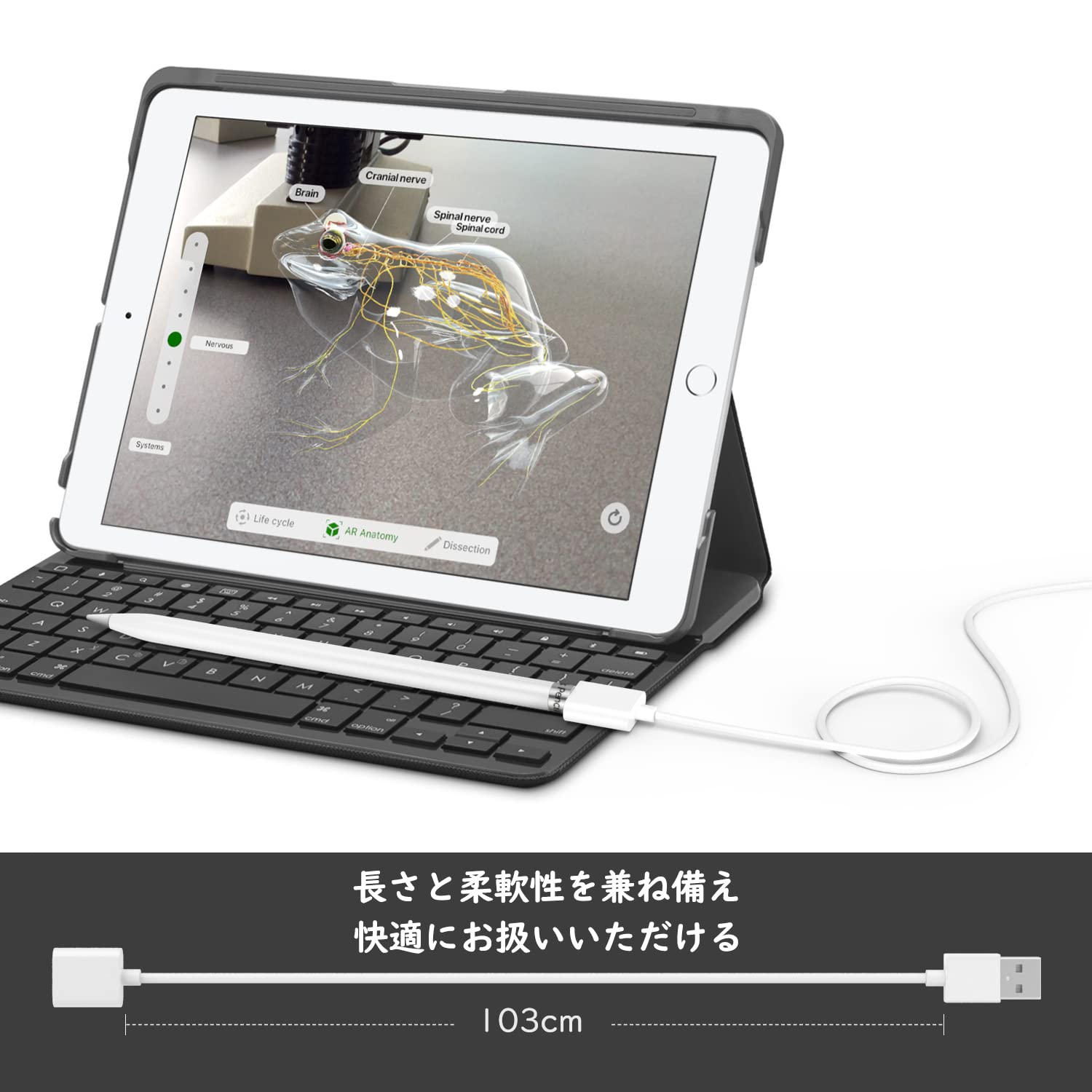 ApplePencil第一世代付きiPad pro 10.5インチ