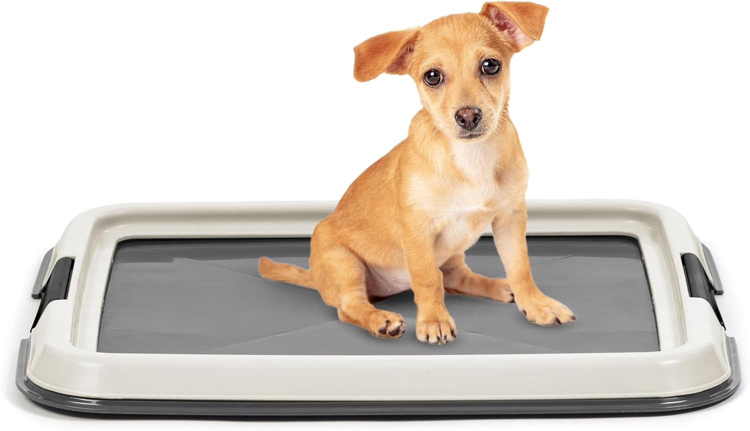 IRIS USA Pee Pad Holder – Extra-Small Sized Dog & Puppy Pee Pads, Secured Latches, Non-Skid Feet, High Polish Finish for Easy Cleaning, Leak Protection, Fits 14″x17″ Pad Puppy & Toy Breeds, Dark Grey