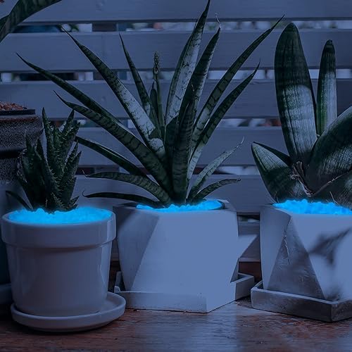 Miniatura 5 de 600 piedras decorativas que brillan en la oscuridad para exteriores, piedras luminosas para jardín, plantas en maceta, suculentas, patio, césped,