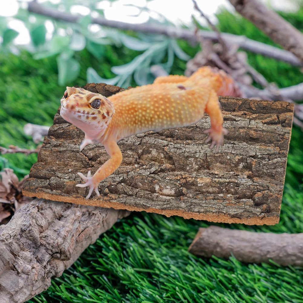 5 Pack Cork Bark 12" L x 8" W Cork Barks for Reptiles Natural Bird Perch Boards Reptile Climbing Mat Wall Terrarium Decor for Birds Turtle Lizard Beared Dragon Chameleon Snake