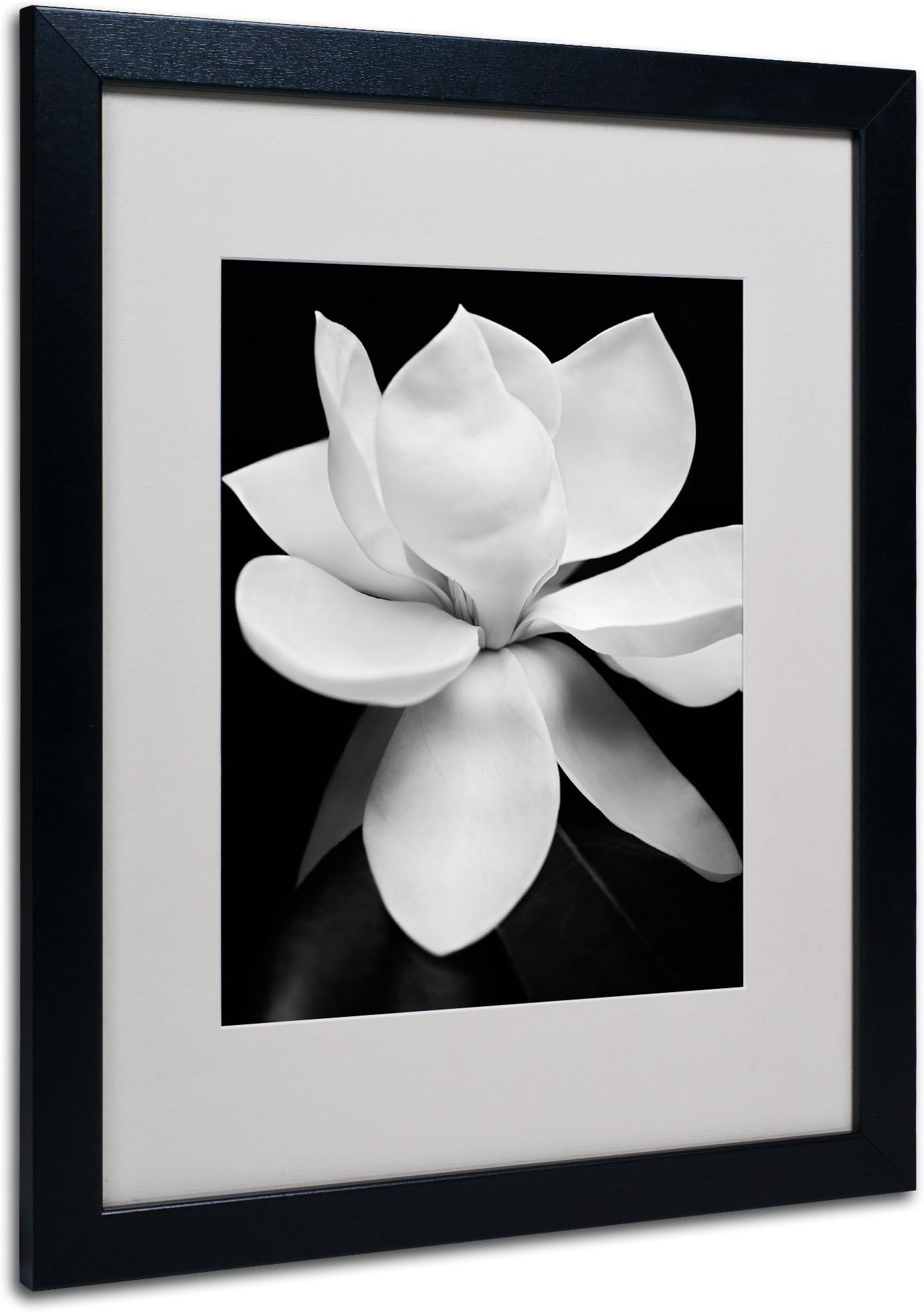 Magnolia Canvas Wall Art by Michael Harrison with Black Frame, 16 by 20-Inch