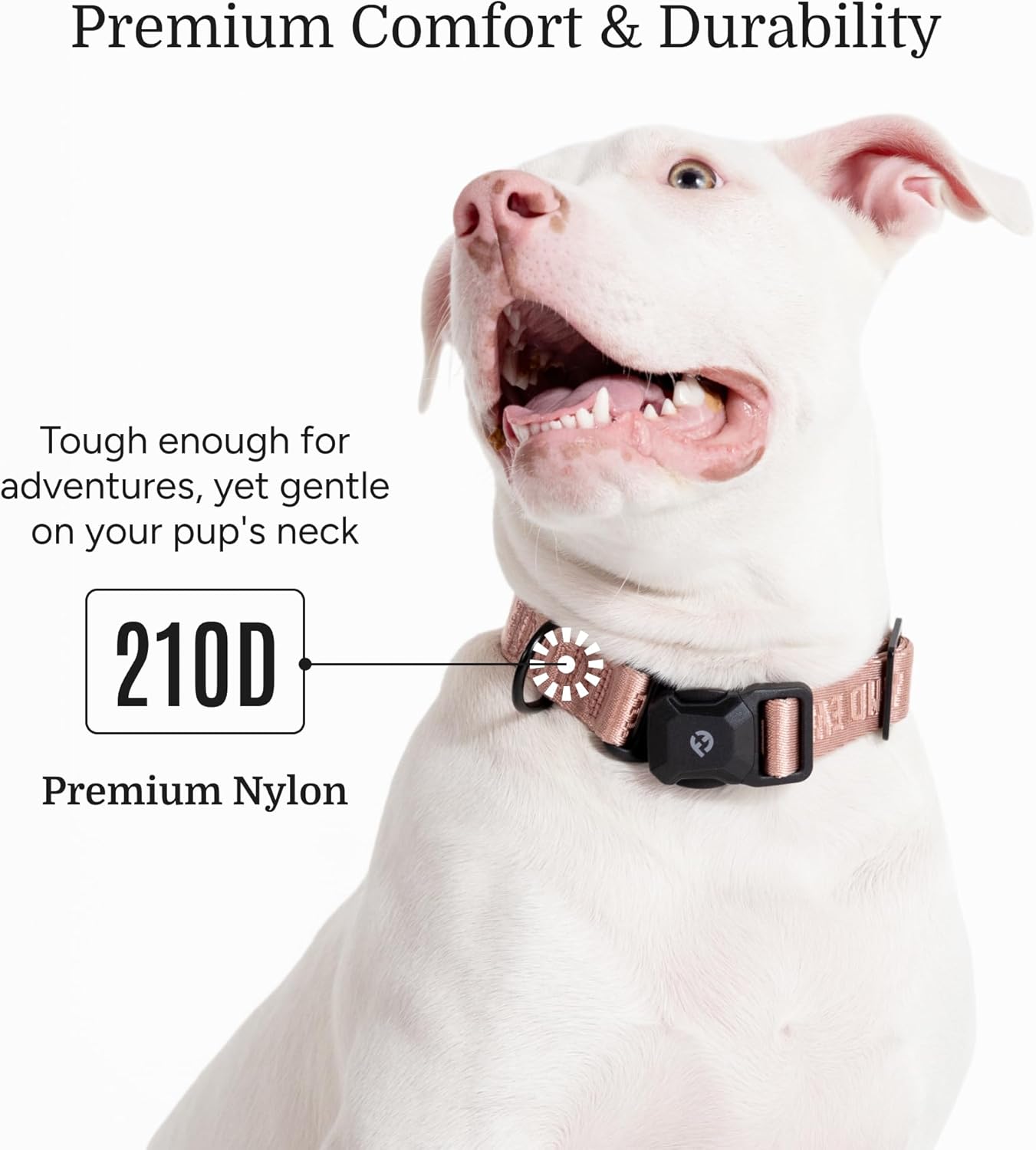 Fei & Eve MagEase Dog Collar - Patented Magnetic Buckles | Fur-Safe | Premium 210D Nylon | 450LB Escape-Proof | Adjustable Fit | Medium (Blush)