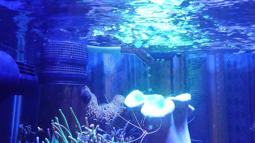 Amazon | Poafamx ウェーブポンプ 10レベル速度コントロール 7