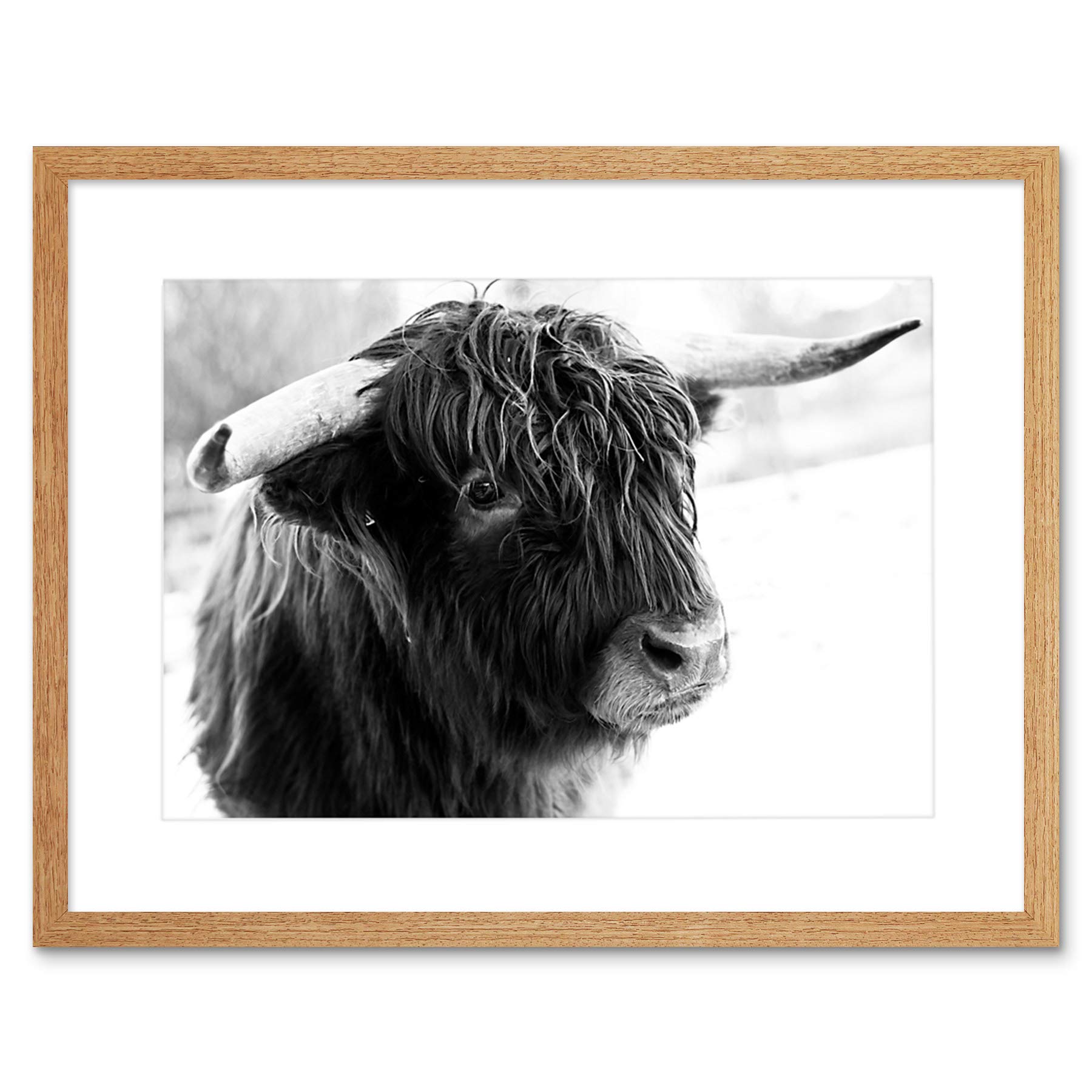 Wee Blue Coo PHOTO COMPOSITION ANIMAL LIVESTOCK HIGHLAND COW BULL FRAMED PRINT F12X5508