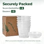 T4U Orchid Pots, 5.5 Inch 6 Pack Nursery Pots with Holes and Saucers, Slotted Plastic Planter for Repotting, Indoor Outdoor Decor for Mature Phalaenopsis and Cattleya | Phalaenopsis dendrobium, Slotted ventilation drainage, Root growth visible, Trans