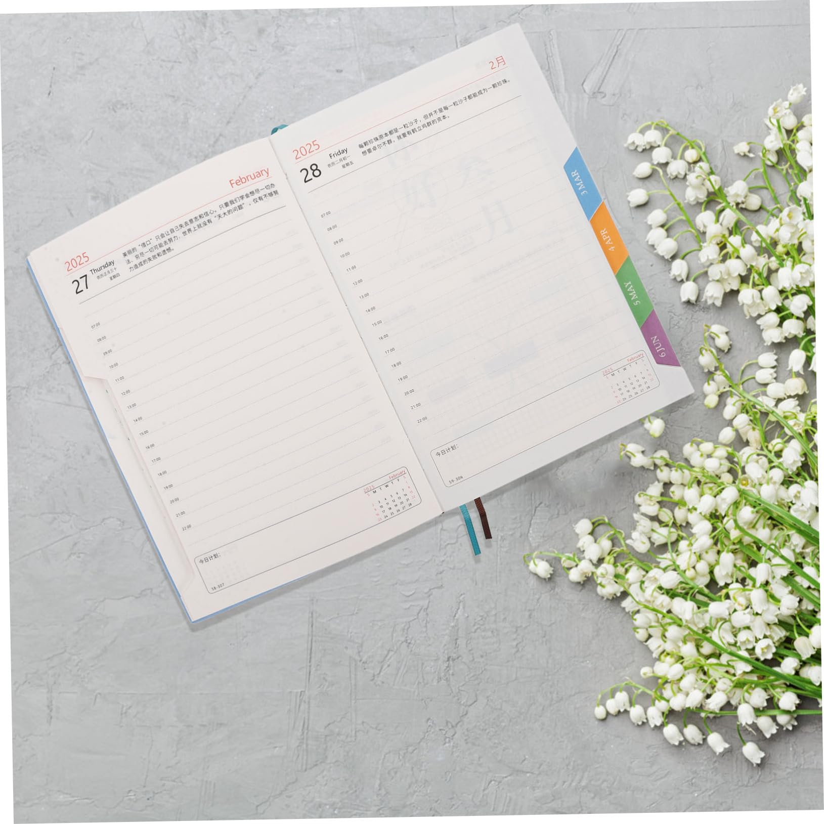 Agenda Diaria 3 Piezas Pu Papel para Gestión Estudio | Cuaderno Planificador 2025 con Calendario Anual, Agenda Fechada de Enero a Diciembre, Decoracion Colegio