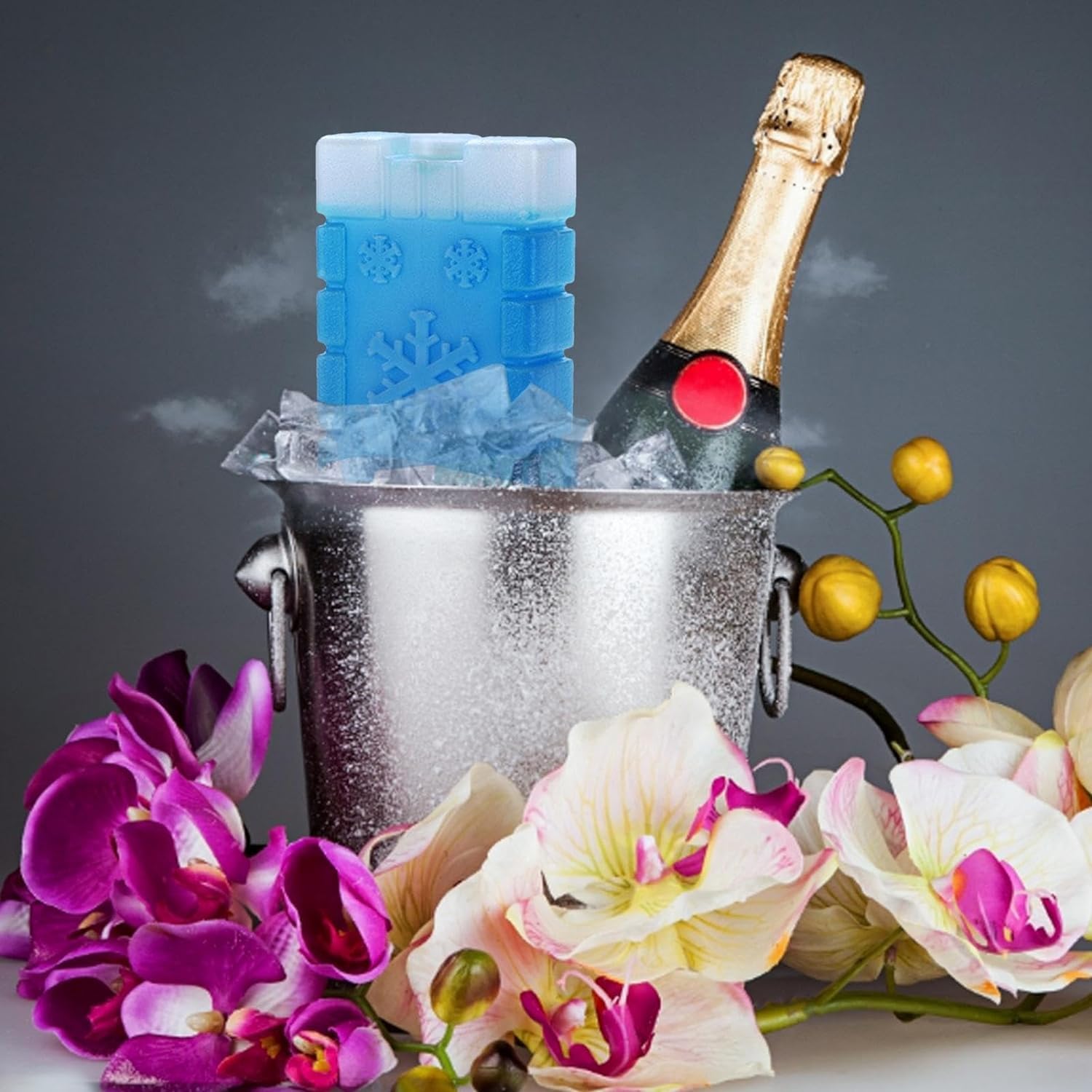 Amazon.co.jp: アイスボックス 冷凍 氷嚢 クーラーボックス 冷蔵庫