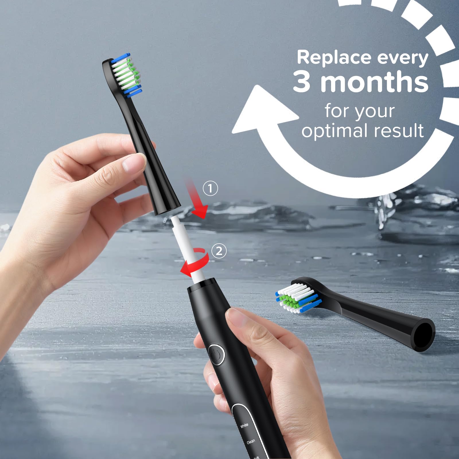 Cabezales de repuesto para cepillo de dientes (10 unidades) compatibles con cepillo de dientes recargable Bitvae Daily D2, cabezales de cepillo de dientes D2, color negro