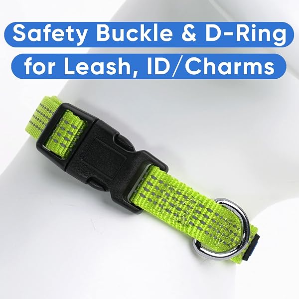 Pawtitas Reflective Dog Collar with Stitching Reflective Thread | Reflective Dog Collar with Buckle Adjustable and Better Training Great Collar for Small Dogs - Green Collar - 5