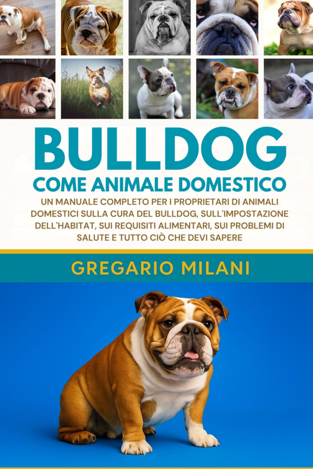 BULLDOG COME ANIMALE DOMESTICO: UN MANUALE COMPLETO PER I PROPRIETARI DI ANIMALI DOMESTICI SULLA CURA DEL BULLDOG, SULL'IMPOSTAZIONE DELL'HABITAT, SUI ... DI SALUTE E TUTTO CIÒ CHE DEVI SAPERE