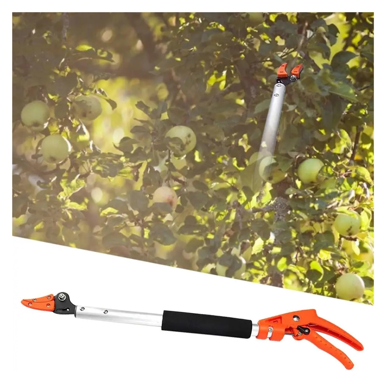 Raccoglitore Di Frutta Raccoglitrice di frutta 1M, forbici extra lunghe for la raccolta della frutta, potatura e mantenimento, potatore bypass, utensile da giardino for la raccolta di uva e cachi.