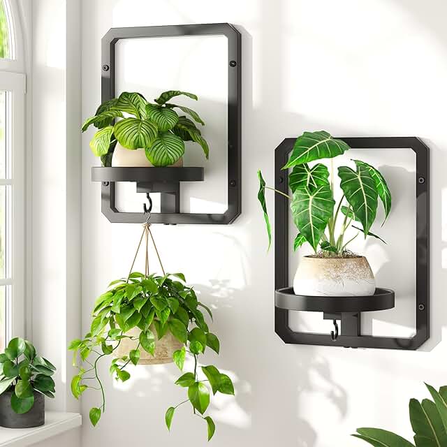 LASZOLA 2 Pcs Black Wall Mount Plant Shelves with Hangers for Indoor Flo...