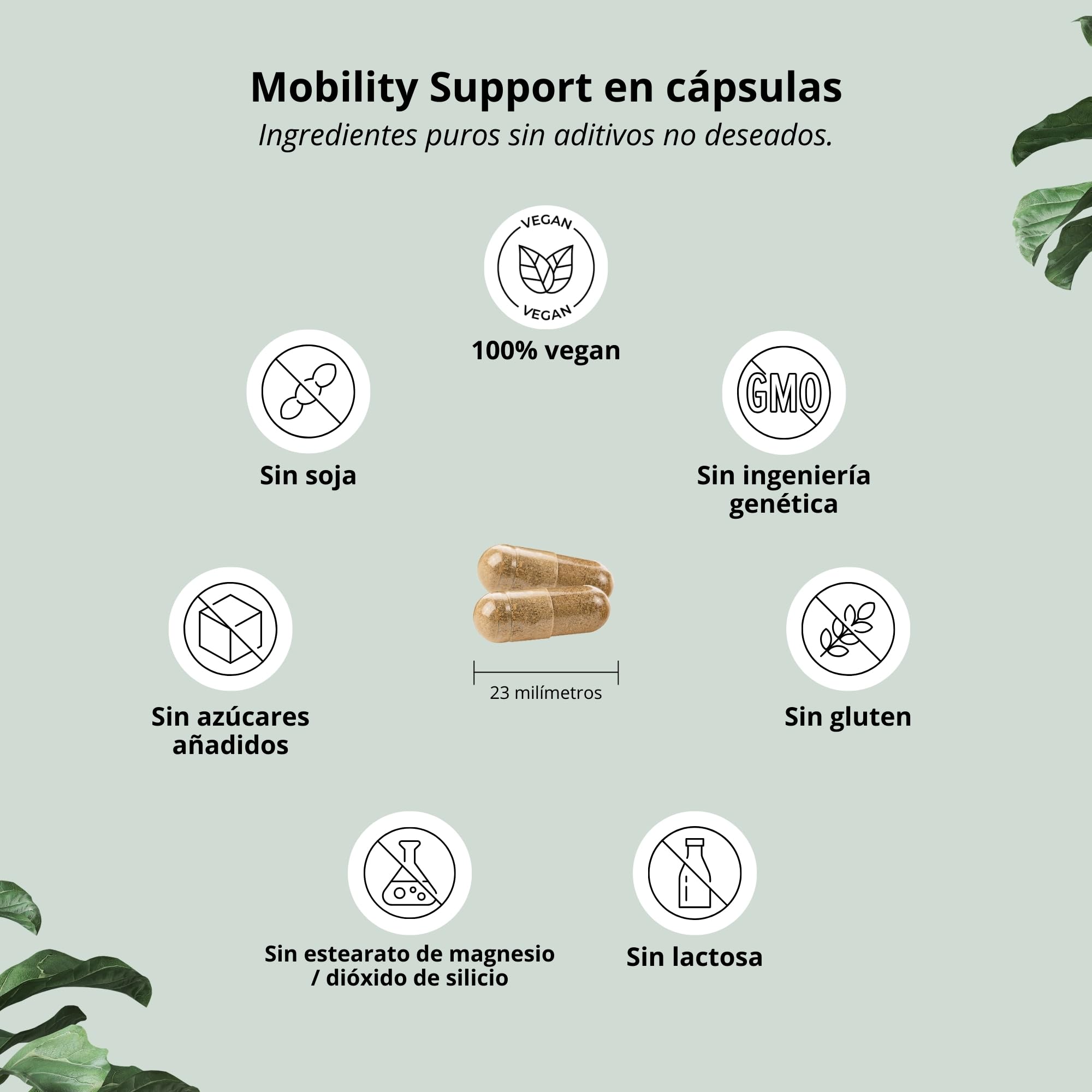 Nutri + Glucosamina + Condroitina Cápsulas de Alta Dosis + Vegan - Mobility Support con MSM, Ácido Hialurónico, Zinc, Vitamina C - Glucosagreen + Fitodroitina