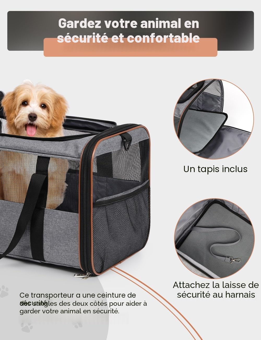 Caisse de transport pour chien et chat avec roulettes - Petit sac de transport pour voiture - Avec poignée télescopique et bandoulière - Gris