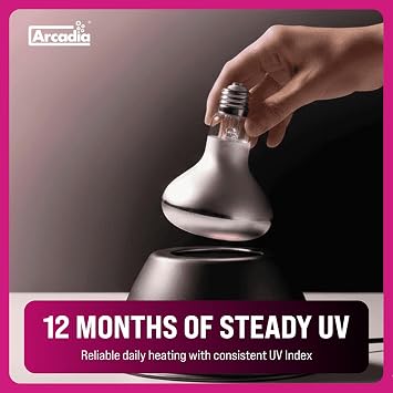 Arcadia D3 EVO UVB Basking Lamp 100W Mercury Vapor Reptile Heat Lamp Bulbs for Bearded Dragons, Tortoises, Snakes and Turtle Tanks, UVA UVB Infrared Long Lasting Easy to Use Heat Bulb for Reptiles