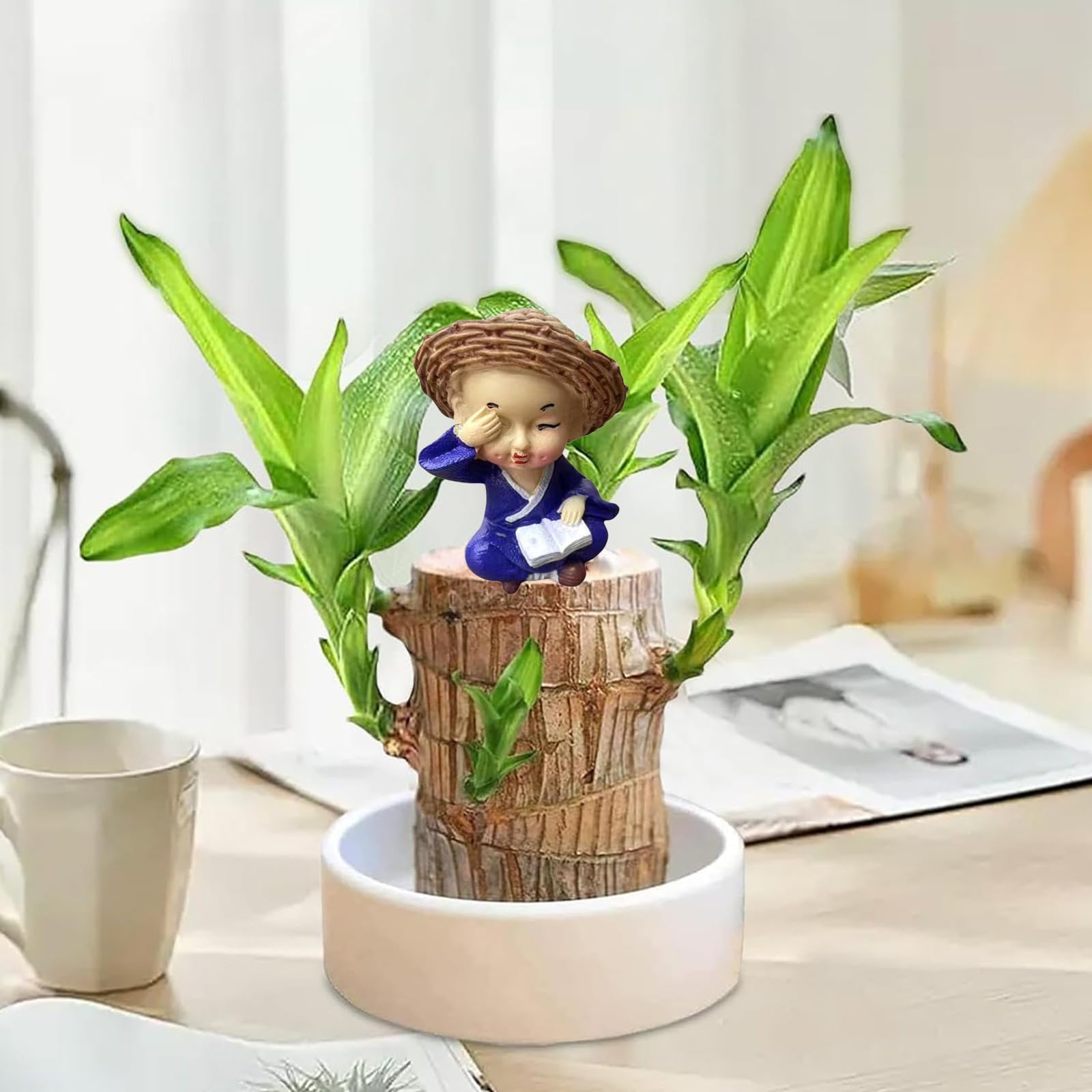 Bois Brésilien Porte-Bonheur Mini - Plante Hydroponique Magique Facile à Cultiver, Purifie L'Air Et Apporte Chance à La Maison