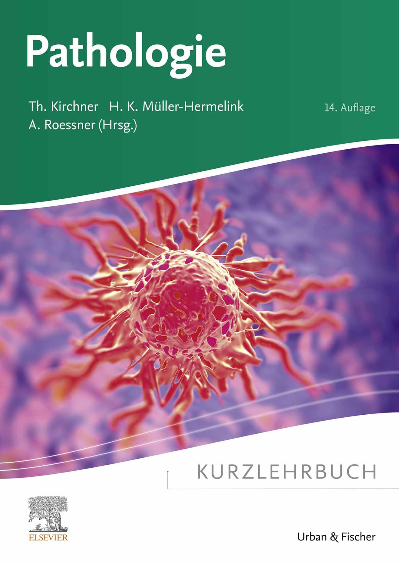 Kurzlehrbuch Pathologie (KURZLEHRBUCH - Urban & Fischer Verlag)