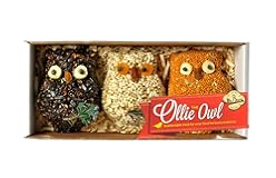 Mr&period; Bird Ollie Owl Bird Seed Ornaments &lpar;1&rpar;