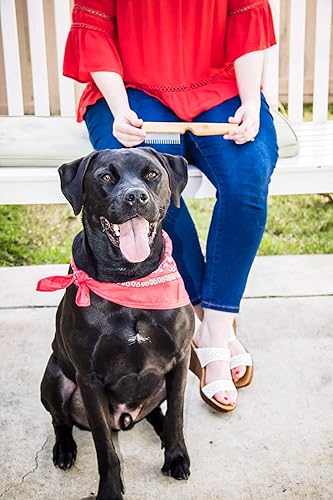 Miniatura 9 de Peine desenredante para mascotas para cabello enmarañado y desenredante, con dientes largos y cortos de acero inoxidable para perros y gatos,