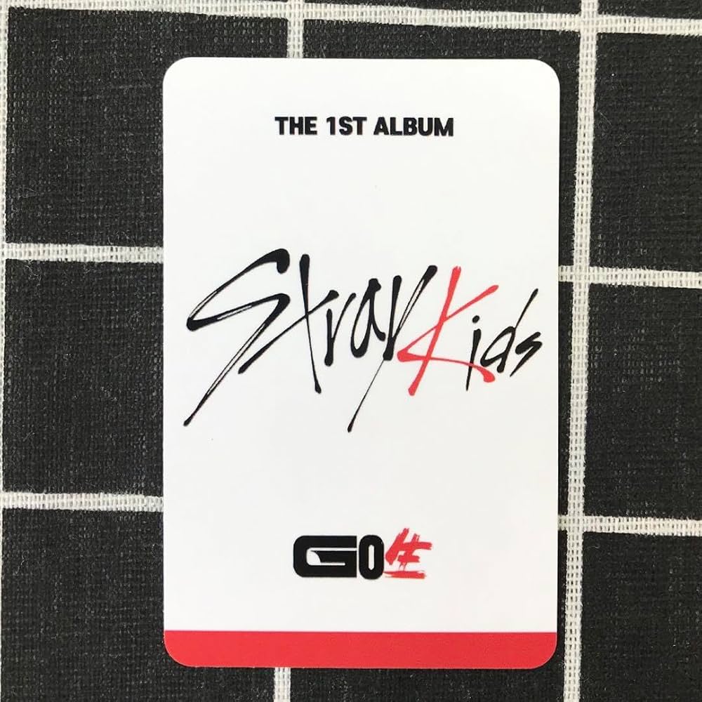 Stray kidsスキズ GO生 SUBK特典 事前収録チャンビン トレカ